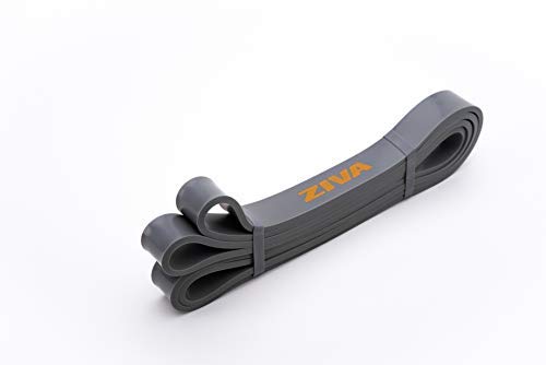 Ziva PRO Portable Resistance Band - Pull Up Assistance & Exercise Bands for Home Workouts, Strength Training, Stretching, Physical Therapy – Medium Resistance (22-44 lbs), 41