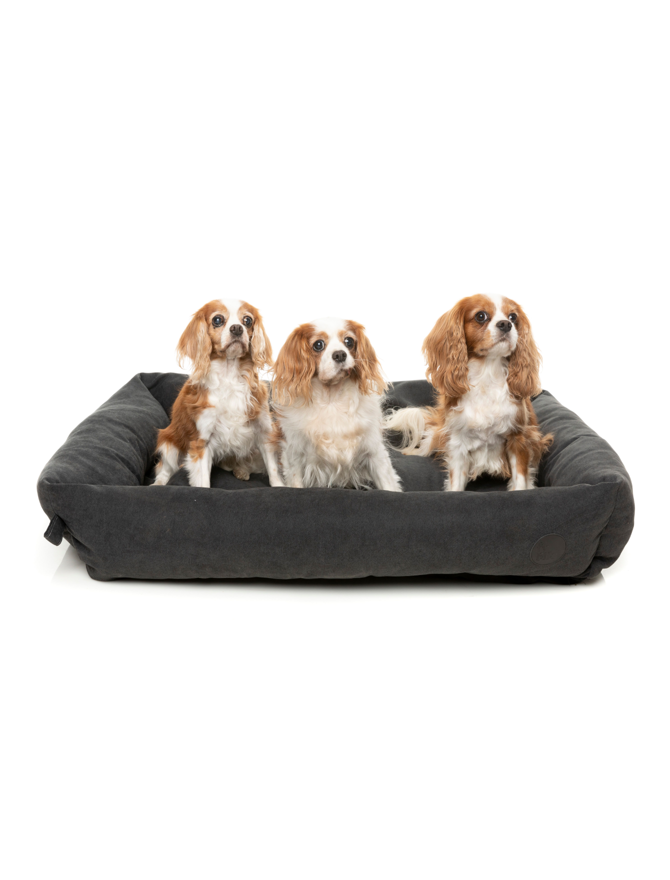 Fuzzyard Premium Pet Bed for Dogs & Cats - Soft Plush Lounge Bed in Charcoal Gray (Small, Medium, Large) - Perfect for Living Room, Bedroom & Pet-Friendly Spaces