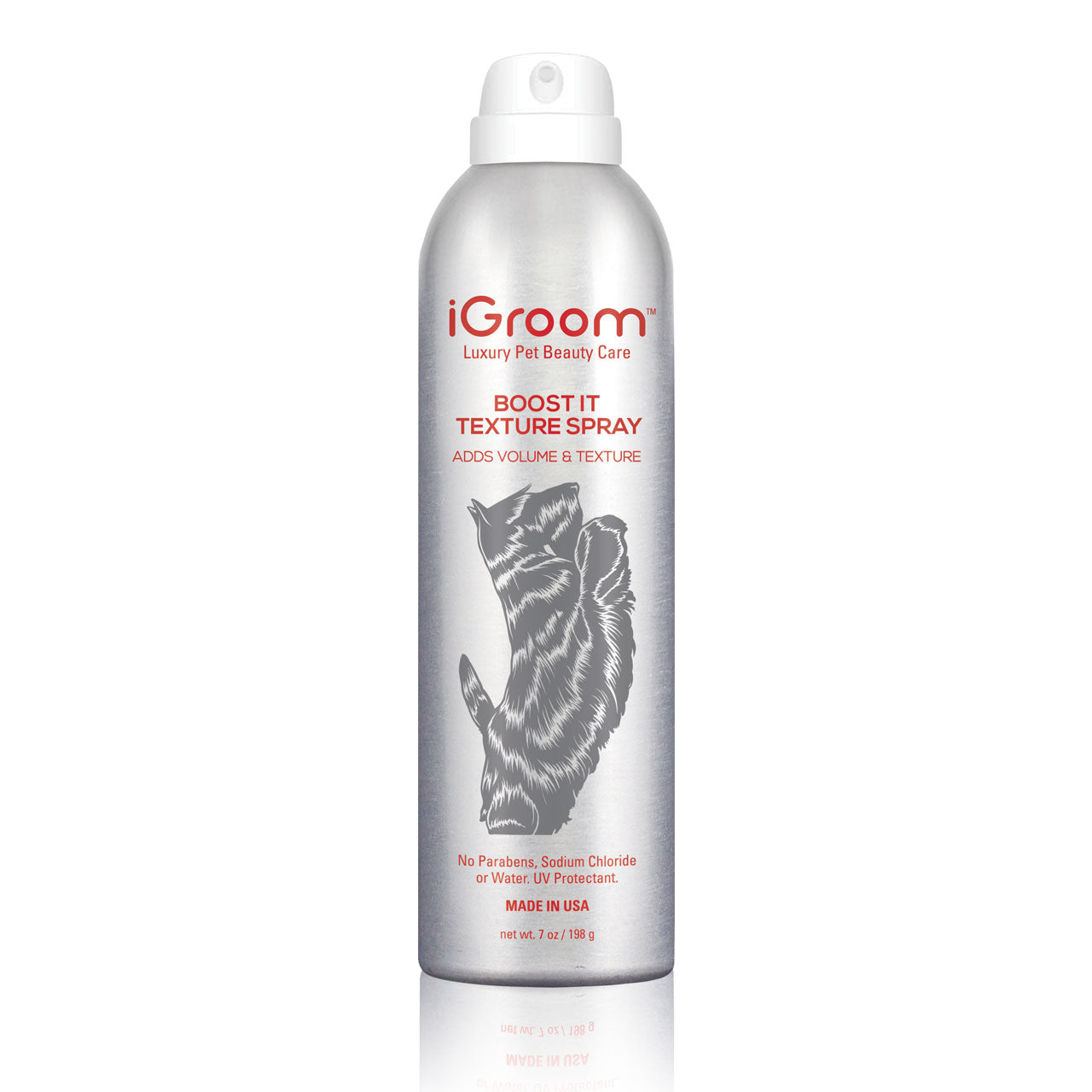 Boost It Texture Aerosol Dog Hairspray - Volumizing & Styling Spray for Pet Grooming - Perfect for Dog Shows, Photo Shoots & Daily Styling