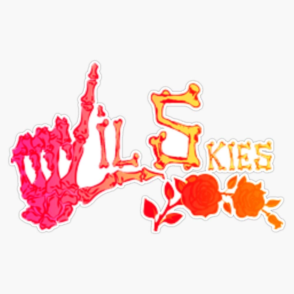 Lil Skies Ombre Vinyl Waterproof Sticker - 5