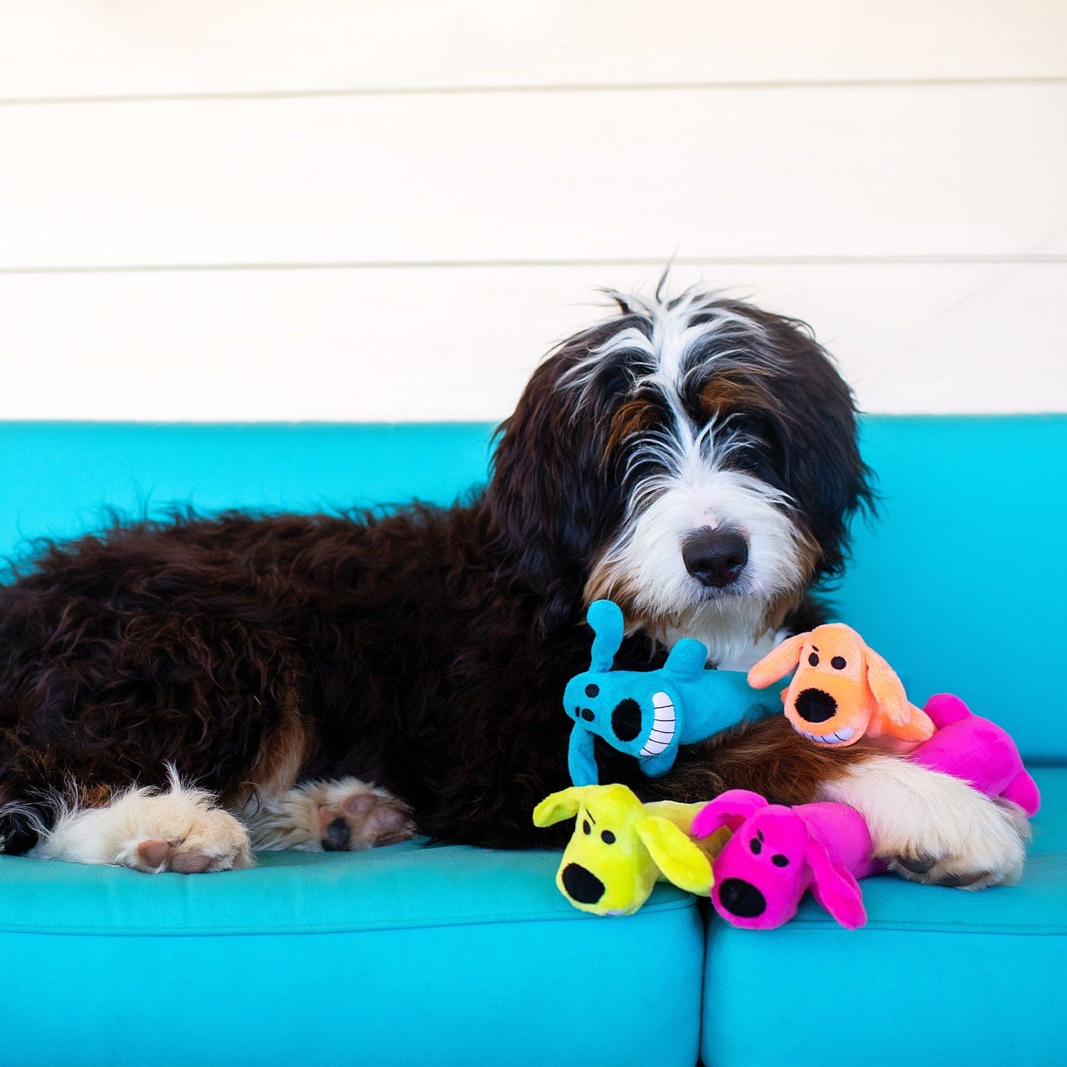 Multipet Loofa Dog Toy - Soft Plush Chew Toy for Small & Large Dogs - Assorted Colors - Perfect for Playtime, Training & Cuddling