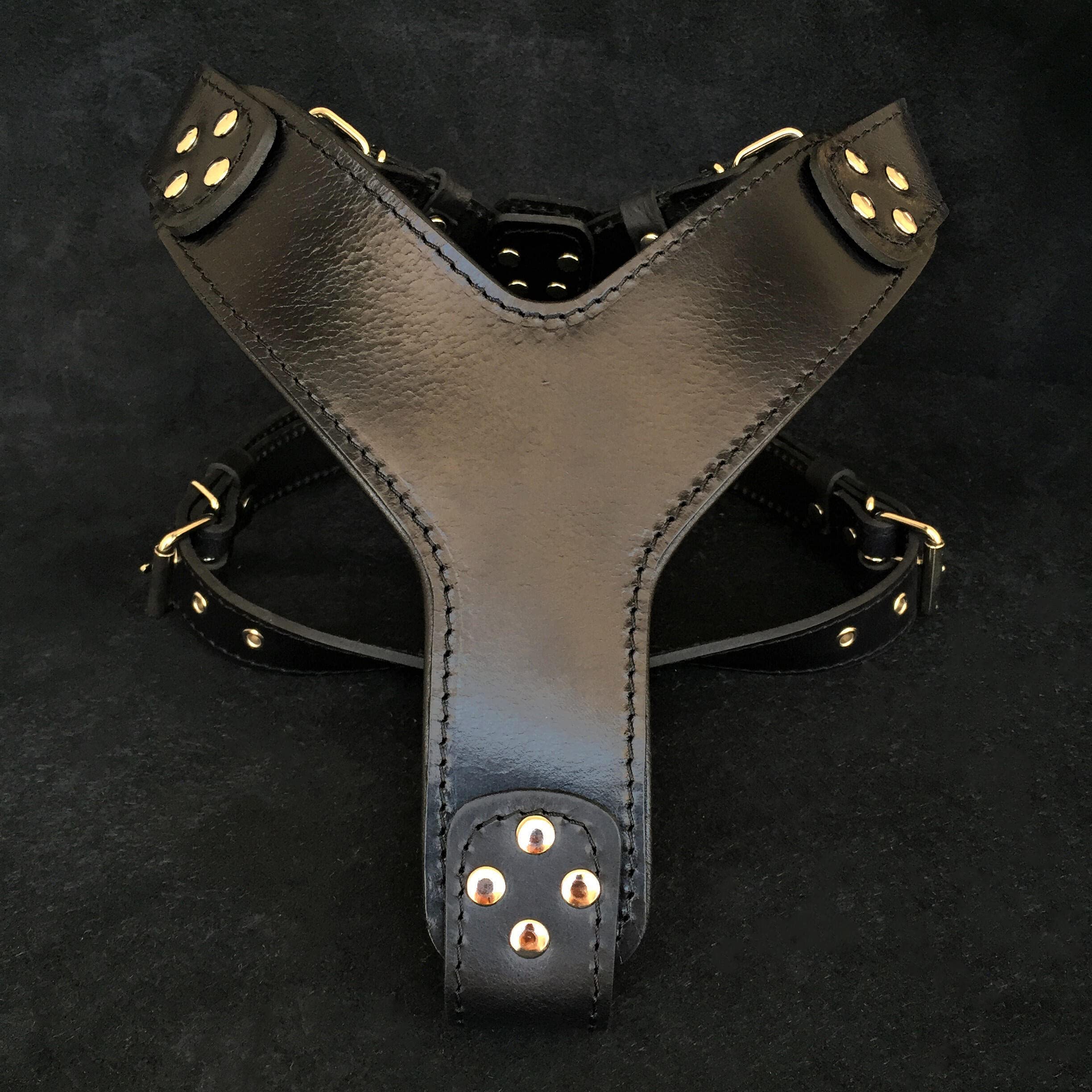 Bestia 'Style' Black 100% Genuine Leather Handmade Dog Harness - Perfect for Walking, Training & Outdoor Adventures