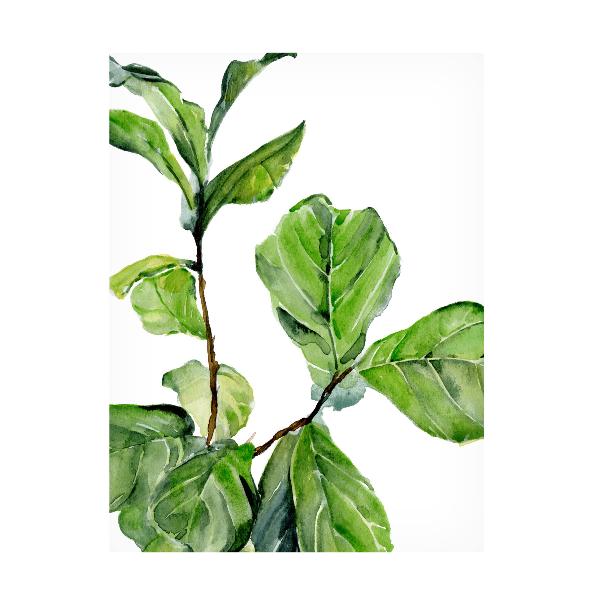Trademark Fine Art 'Fiddle Fig II' Canvas Wall Art by Jennifer Paxton Parker - Modern Botanical Painting for Living Room, Bedroom & Office Decor