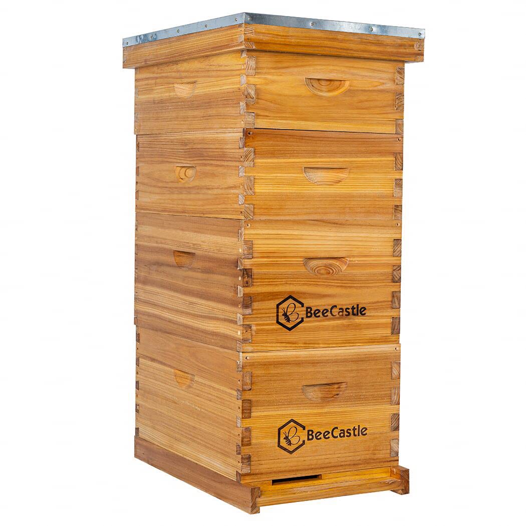 BeeCastle 8 Frame Langstroth Bee Hive Kit - 100% Beeswax Coated with 2 Deep & 2 Medium Boxes, Frames & Waxed Foundations - Perfect for Beekeeping Beginners & Honey Production