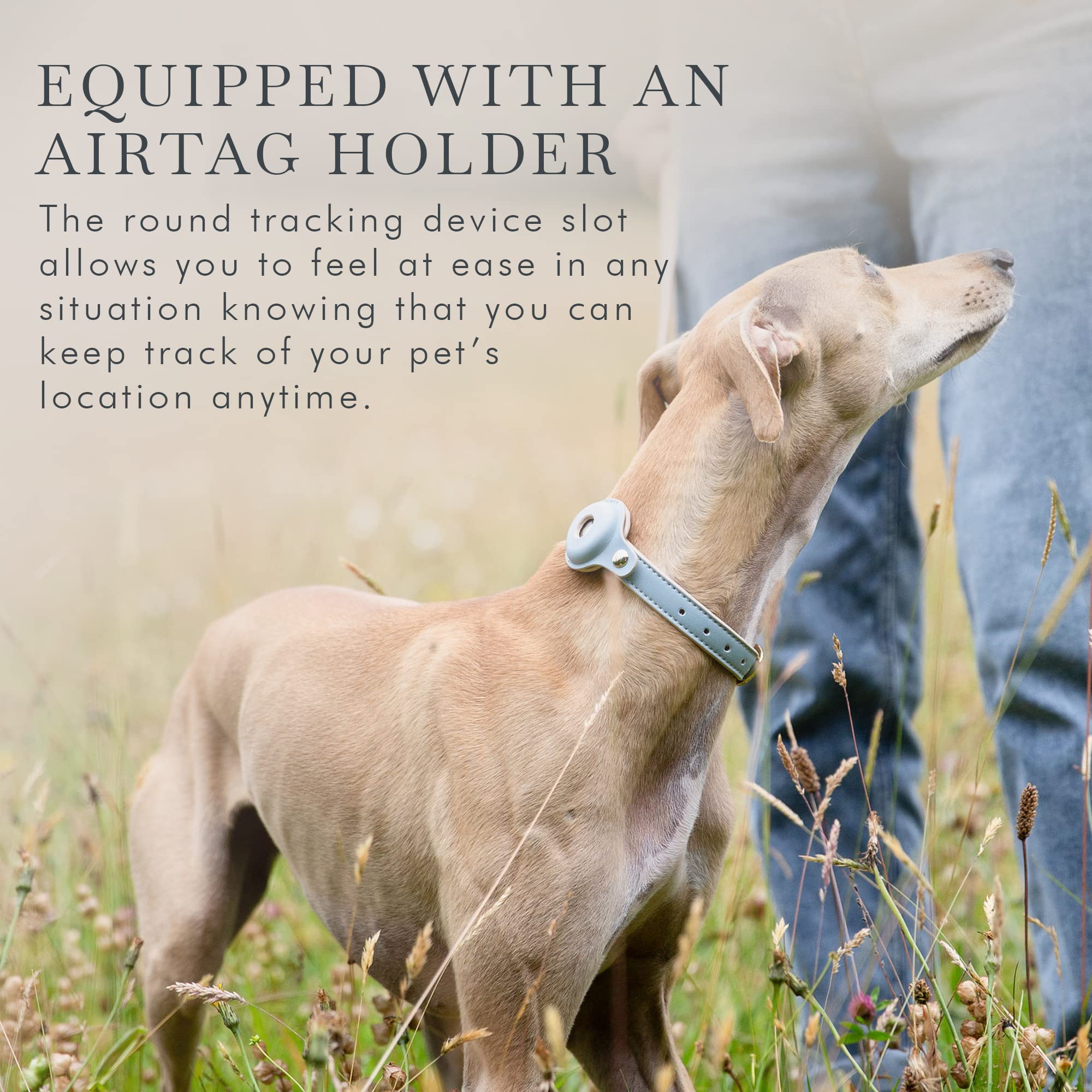 Vegan Leather Adjustable Dog Collar with Tracker Holder - XS Blue | Cupertino Pet Accessories for Small Dogs | Perfect for Daily Walks & Outdoor Adventures