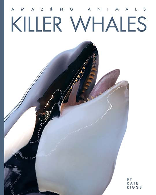 Killer Whales Book - 9781640263833 | Marine Life Educational Guide for Kids & Adults | Perfect for School Projects & Ocean Enthusiasts