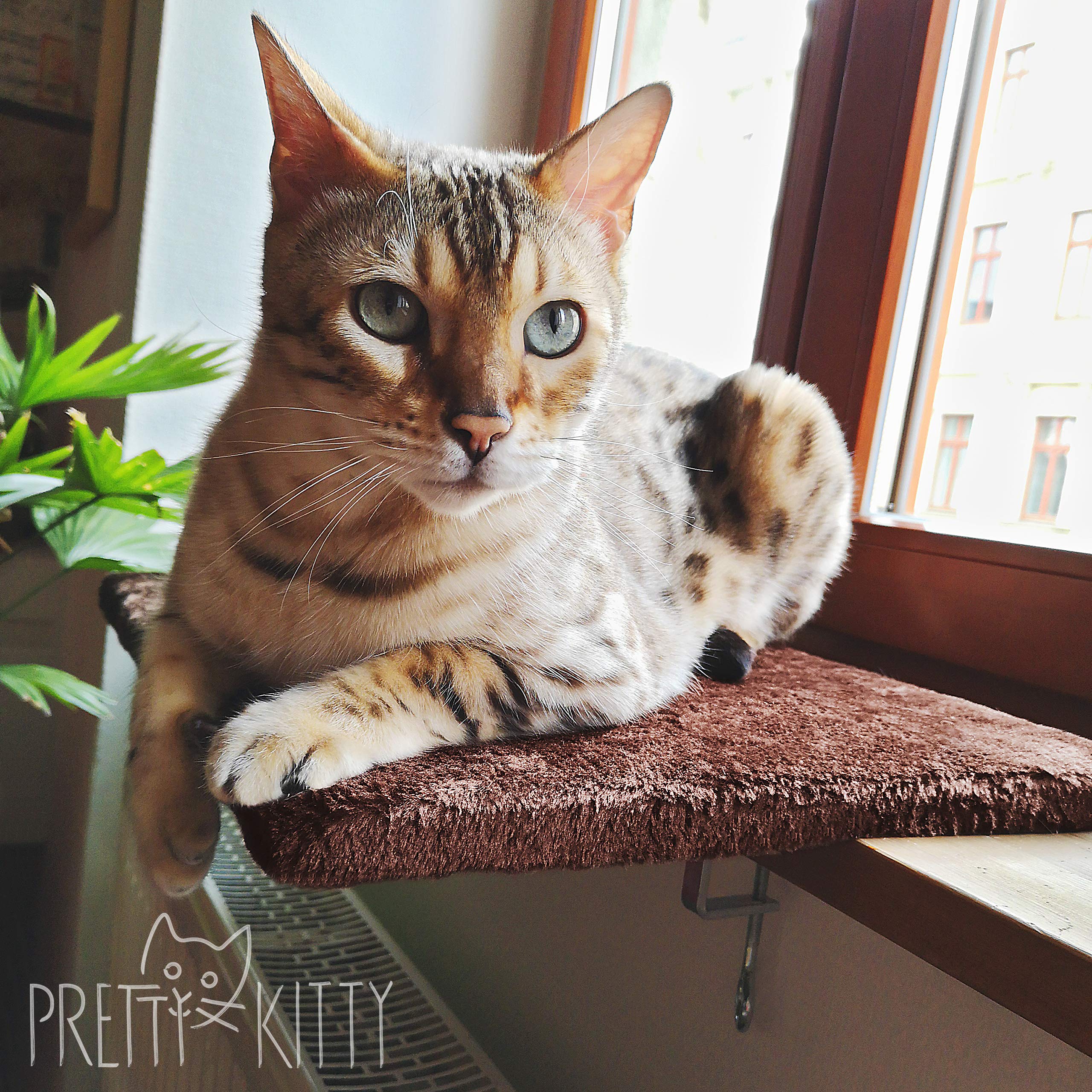 Pretty Kitty Cozy Window Cat Bed - 12.5x16in Washable Pet Bed for Cats & Kittens - Perfect for Window Sill, Sunbathing & Relaxation - Soft Cat Accessory for Indoor Cats