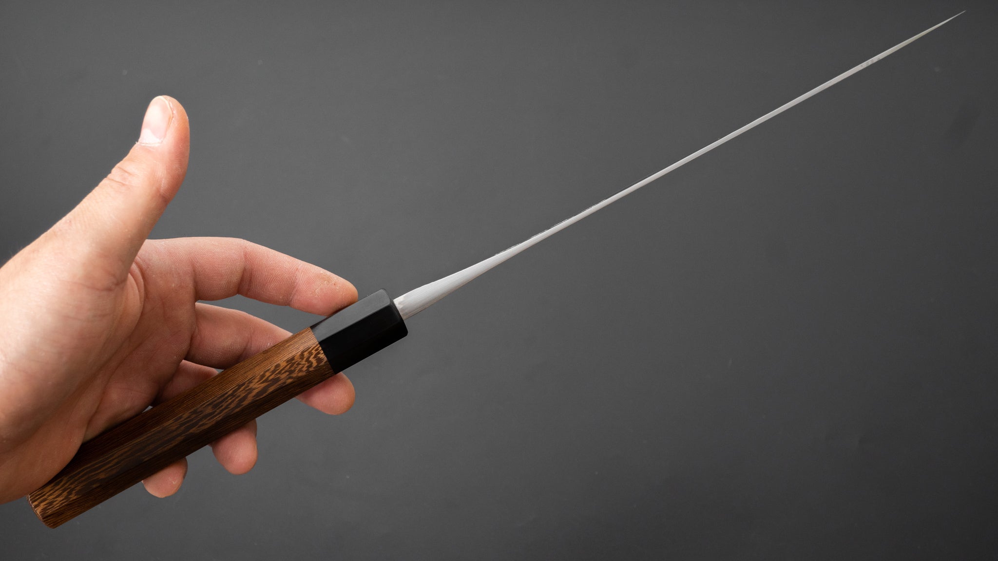 Premium Jiro Tsuchime Wa Sujihiki 240mm Japanese Slicing Knife - Taihei Tagayasan Handle (#390) - Perfect for Sushi, Sashimi & Meat Carving