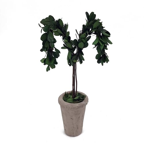 Forest Green M