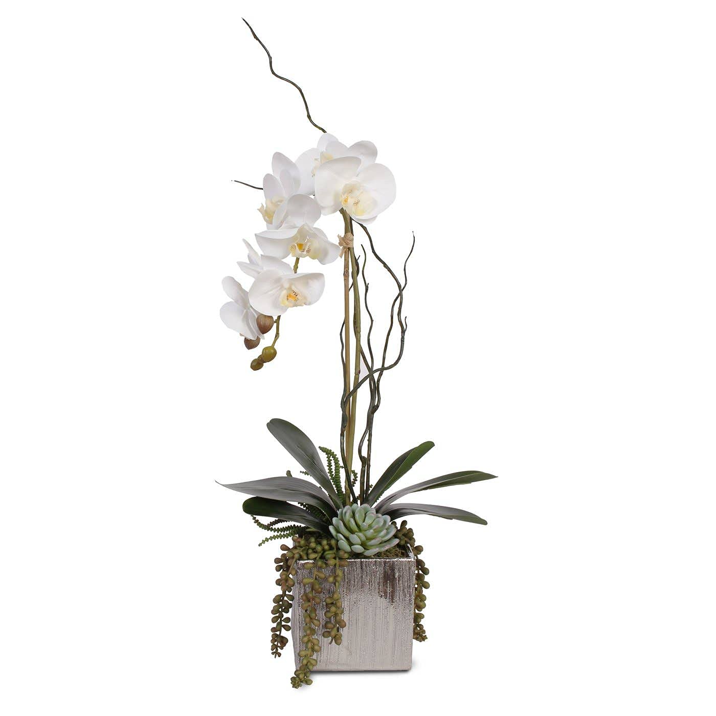 Real Touch White Phalaenopsis Orchid with Succulents in Silver Ceramic Pot - Elegant Home & Office Decor for Weddings, Centerpieces, and Gift Giving