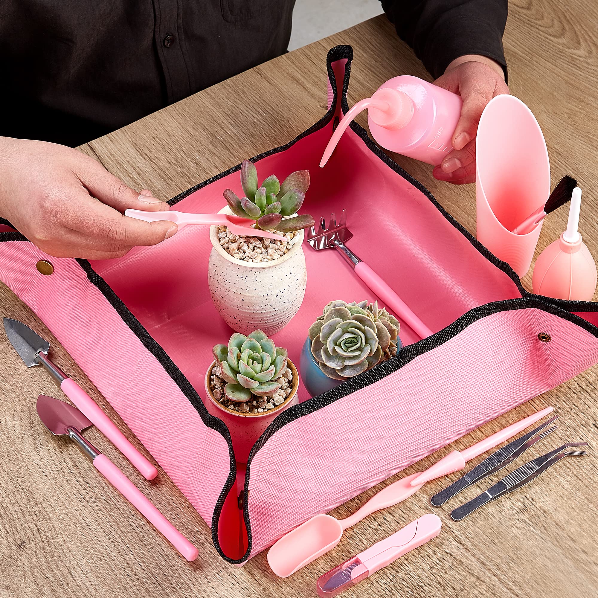 24 Pcs Mini Succulent Tools Set for Indoor/Outdoor Plant Care - Gardening Essentials