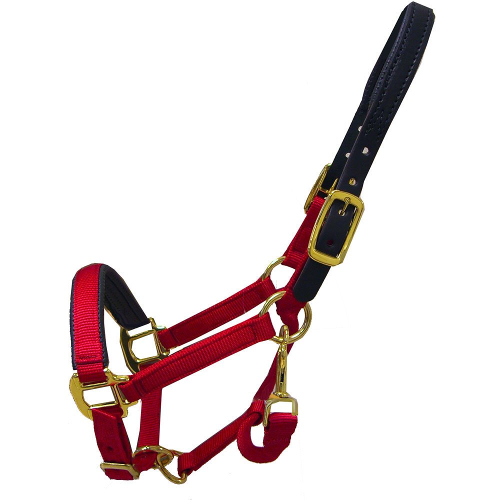 Thornhill Breakaway Padded Halter for Horses - Red Warmblood Size with Comfort Fit | Perfect for Training, Show & Stable Use