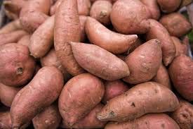 Elwyn 20 Sweet Potato Vegetable Seeds for Planting - Non-GMO, High Yield, Home Garden & Container Growing | Perfect for Backyard Farming, Urban Gardening & Healthy Eating
