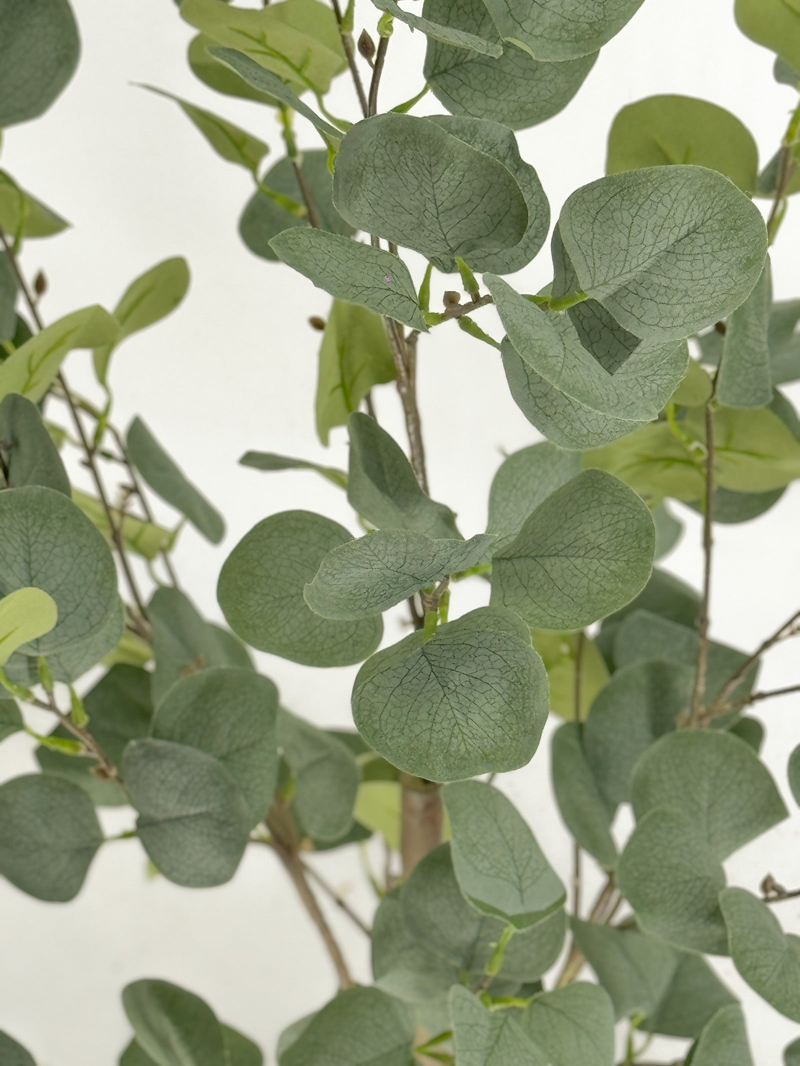 Artificial Eucalyptus Blue Gum Tree 90cm - Realistic Faux Eucalyptus Plant for Home Decor, Office, Wedding & Event Centerpieces