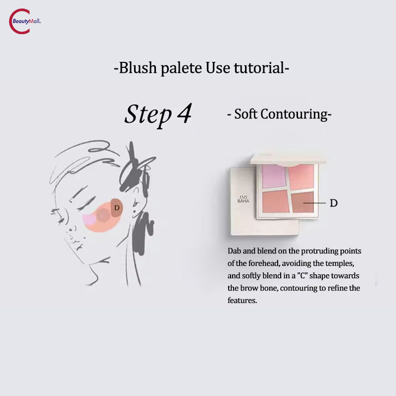 INSBAHA Primary Exploration Blush Palette - 6 Color Matte & Shimmer Makeup Set for Contouring, Highlighting & Everyday Wear | Perfect for Professional Makeup Artists & Beginners