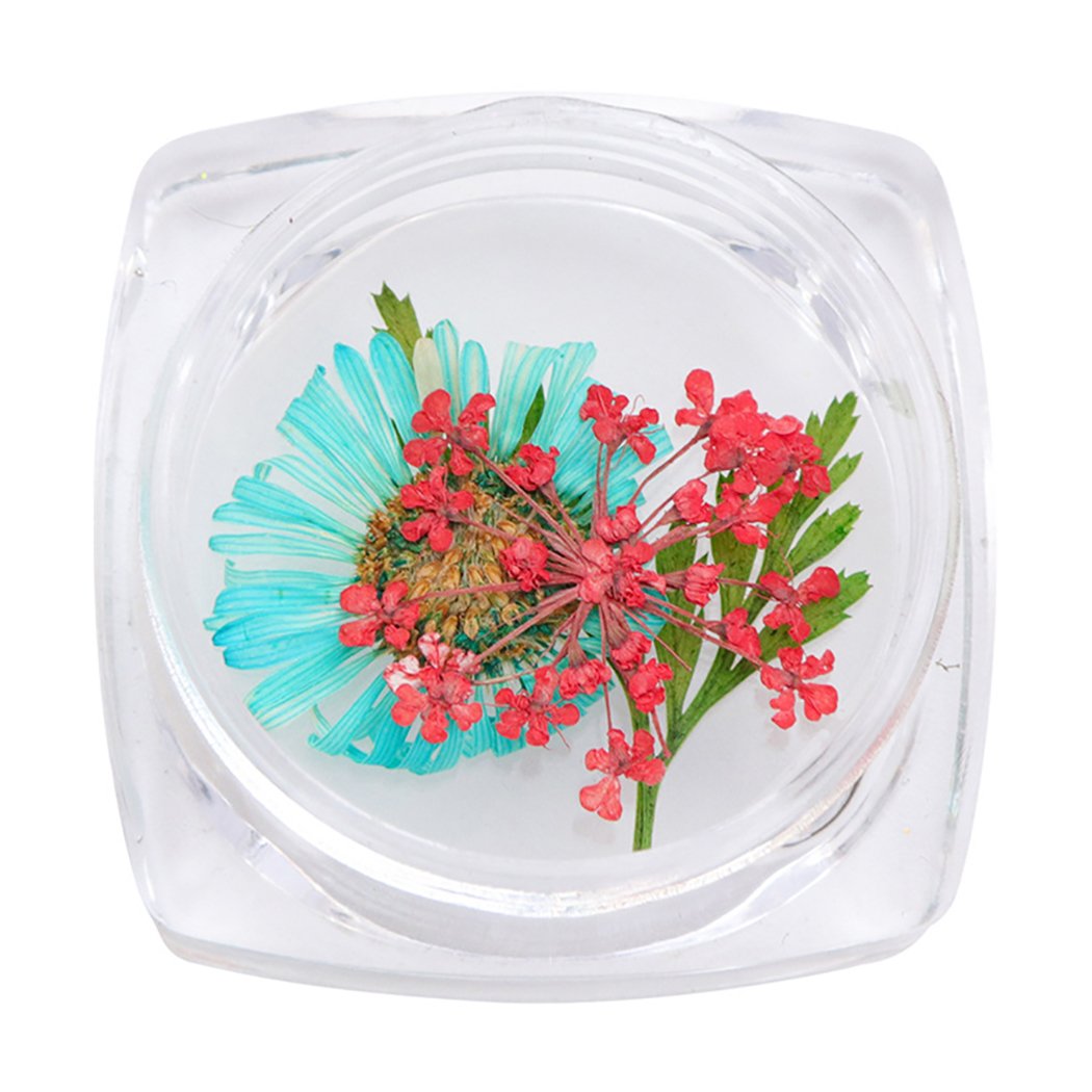 Dorakitten DIY 3D Nail Art Stones - Nail Jewelry Decorations for Manicure, Nail Art Design, Nail Salon Supplies - Perfect for Home Nail Care, Party Nail Art, and Professional Salon Use