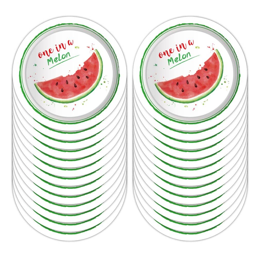 One in a Melon Watermelon Party Supplies Set - 257 Pieces Including Disposable Plates, Banners, Tablecloths, Cups & Balloons for Summer BBQs, Birthday Parties & Baby Showers