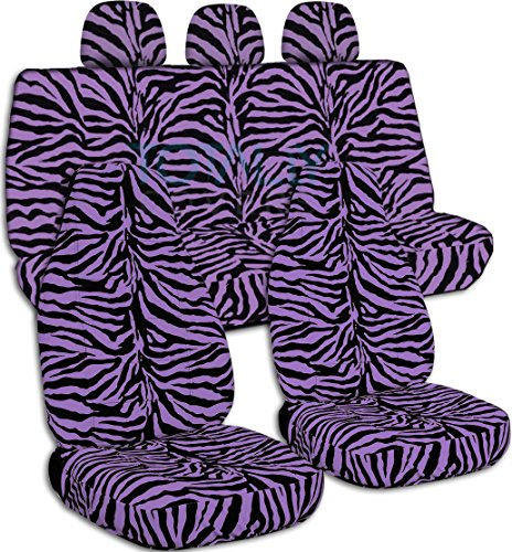 Purple Zebra