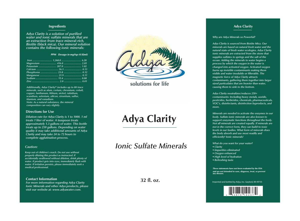 Adya Clarity - Natural Trace Mineral Water Purifier for Bottled & Fresh Water | Detox & Alkaline Boost | Home, Travel & Emergency Use