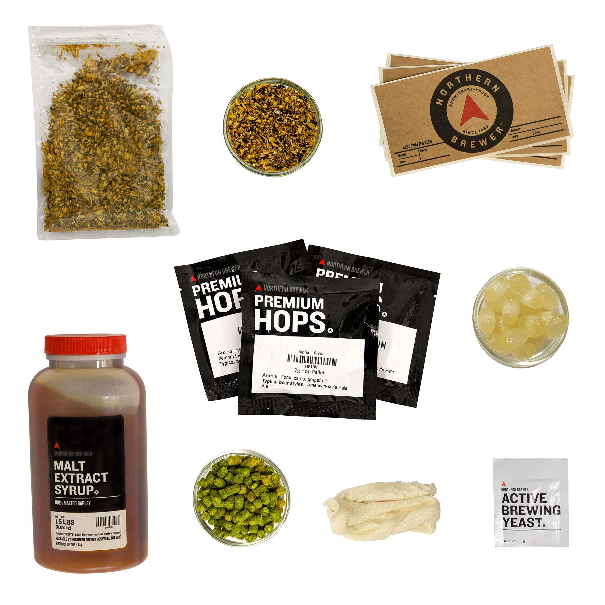 Northern Brewer - 1 Gallon Siphonless Home Brewing Kit with Equipment & Caribou Slobber Brown Ale Recipe | Beginner Beer Making Starter Set for Small Batch Craft Brewing at Home