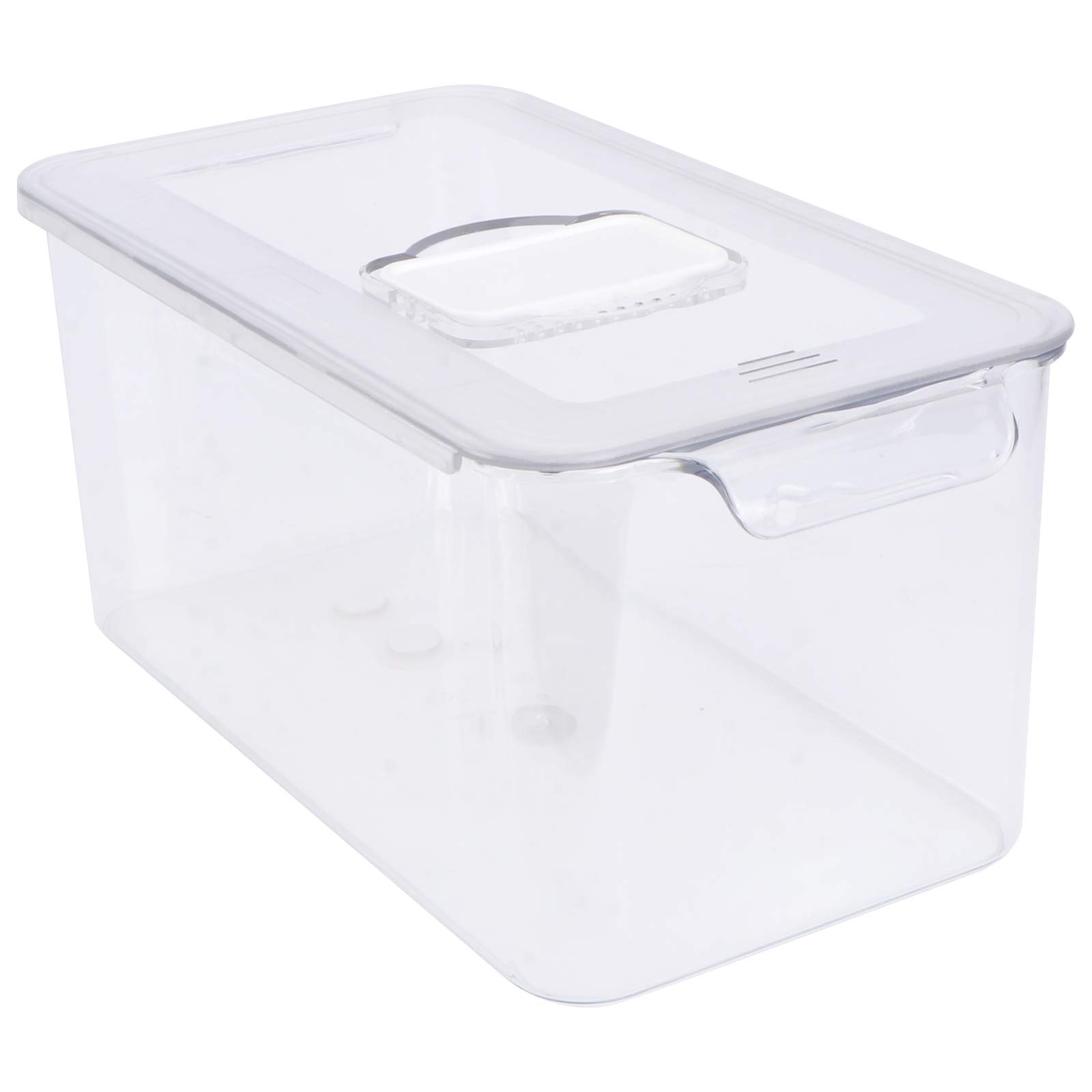 DOITOOL 1pc Airtight Food Storage Container - BPA-Free Plastic Fresh Keeping Box for Fruits, Vegetables & Meal Prep - Clear Transparent Kitchen Organizer (Great for Refrigerator, Pantry & Lunch Box)
