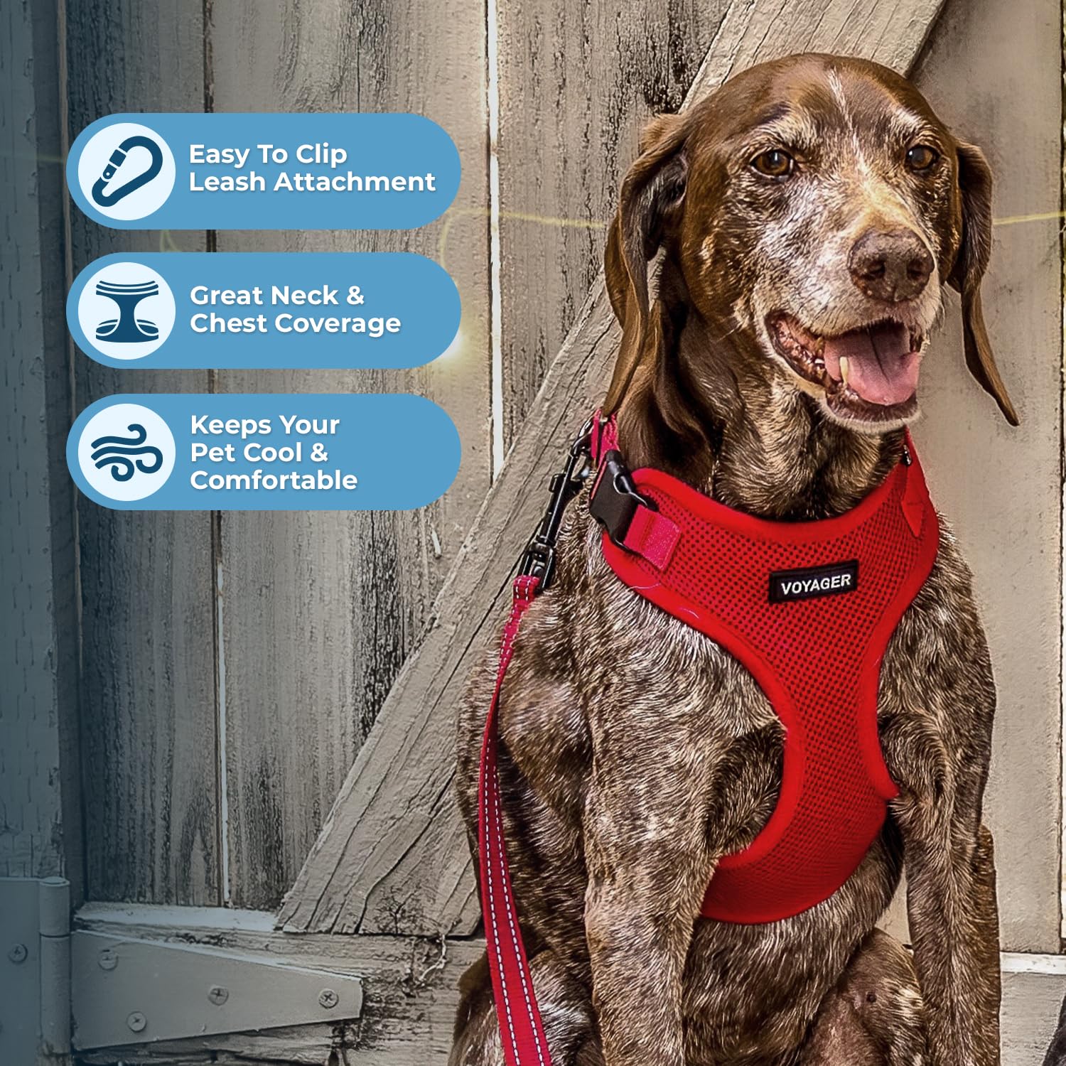 Best Pet Supplies Reflective Step-in Dog Harness with 5ft Neoprene Handle Leash Combo Set - Adjustable for Small, Medium & Large Breeds (Red, XL) - Perfect for Walking, Training & Outdoor Adventures