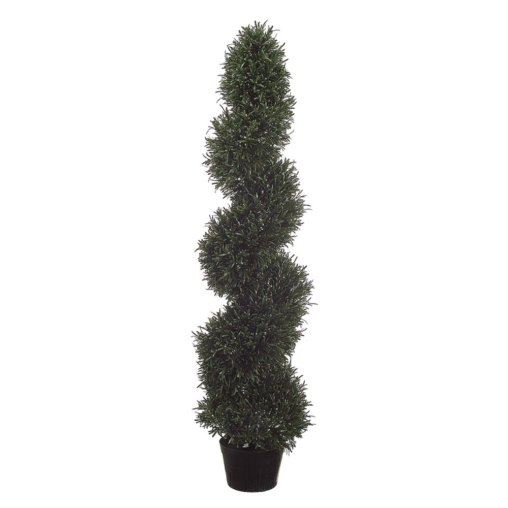 4' Rosemary Spiral Topiary in Plastic Pot - Pack of 2 | Fresh Green Herb Plant for Kitchen, Garden & Home Decor | Perfect for Indoor & Outdoor Use, Gifts, and Holiday Decorations