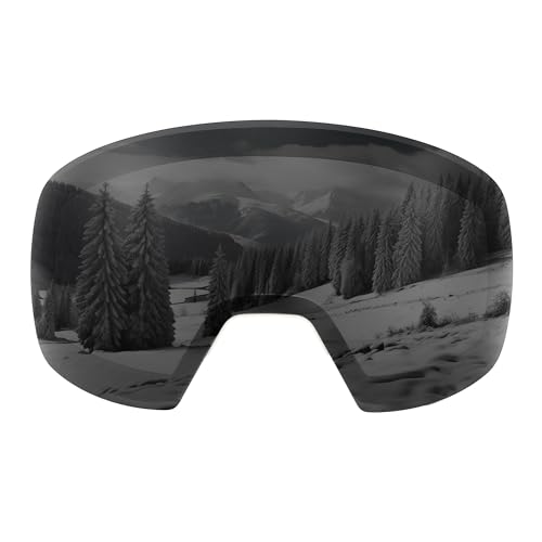Grey Lens 17%
