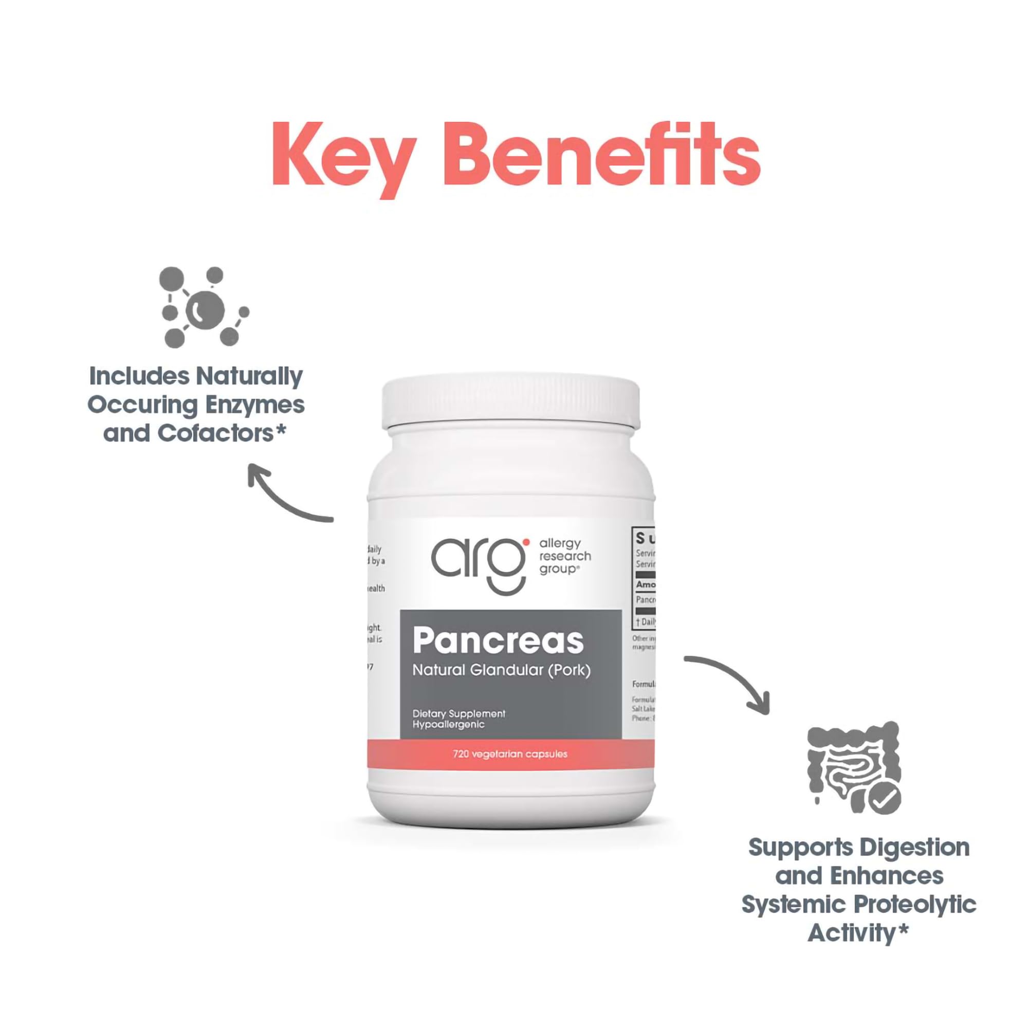 Allergy Research Group Pancreas Dietary Supplement - 720 Count | Digestive Support with Natural Pork Glandur | Hypoallergenic, Vegetarian & Gluten-Free Capsules | Ideal for Gut Health & Enzyme Support