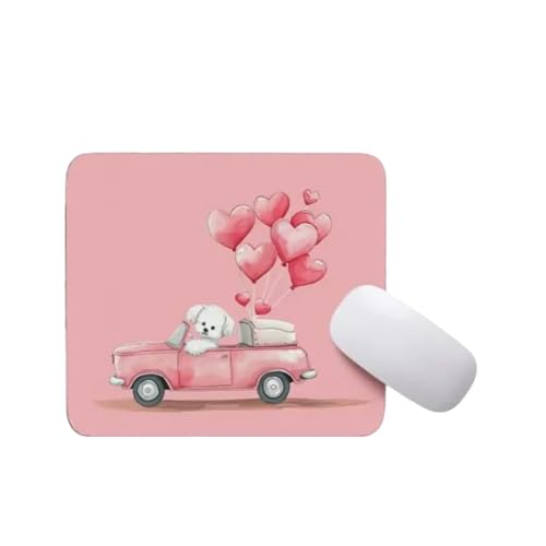 Poodle in Car