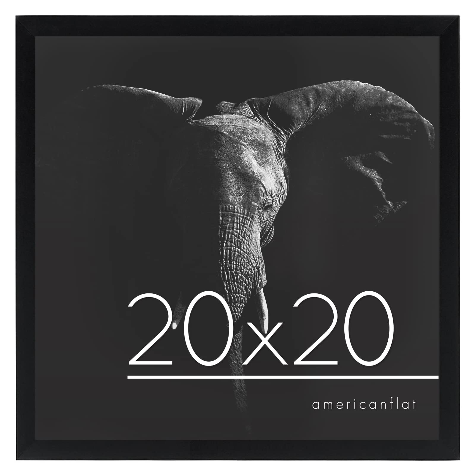 Americanflat 20x20 Black Picture Frame - Polished Plexiglass & Wood for Wall Display - Home & Office Decor