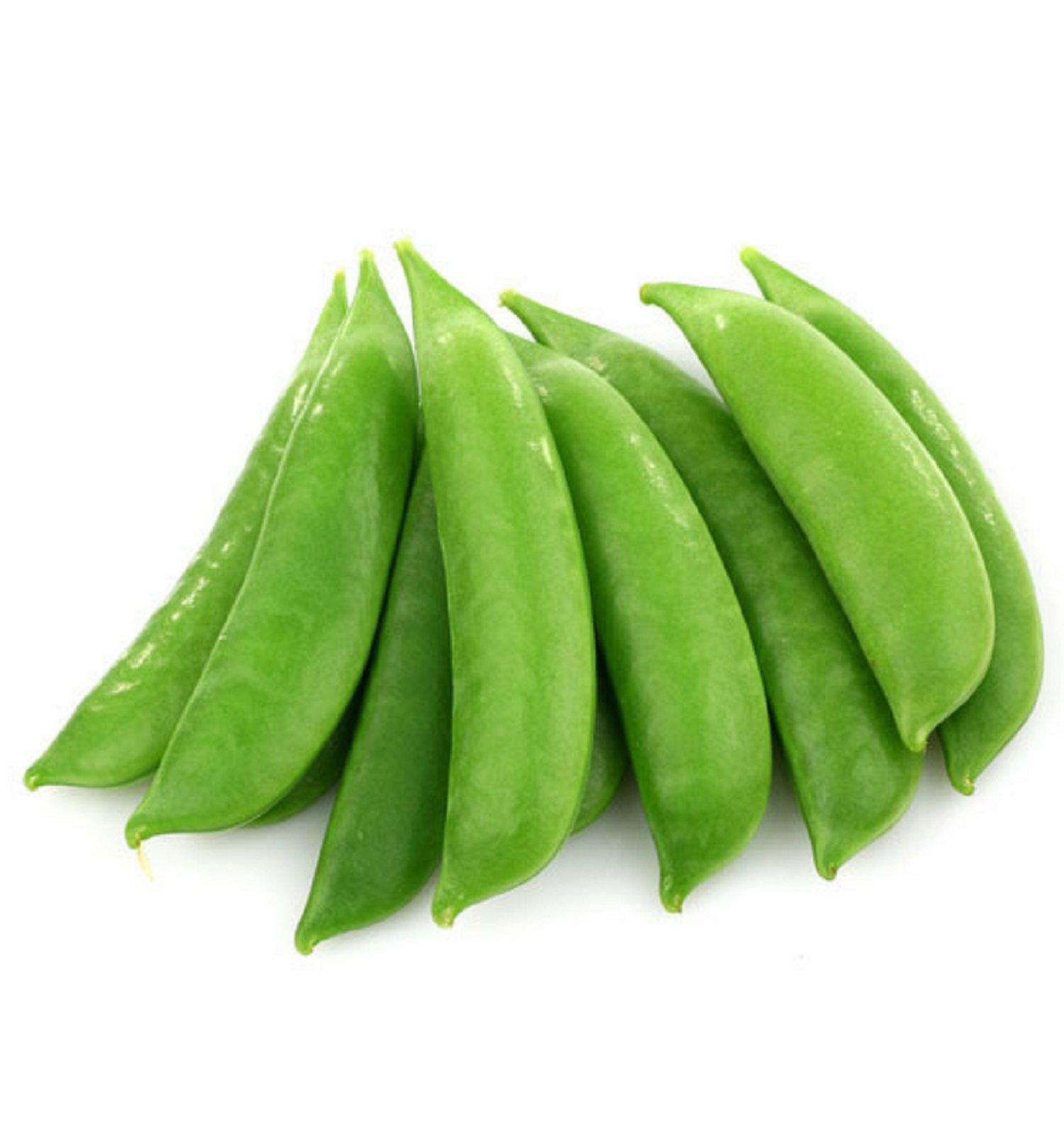Organic Sugar Daddy Snap Pea Seeds - Heirloom, Non-GMO, 500 Count - Sweet Garden Peas for Home Gardening, Container Planting & Fresh Snacking
