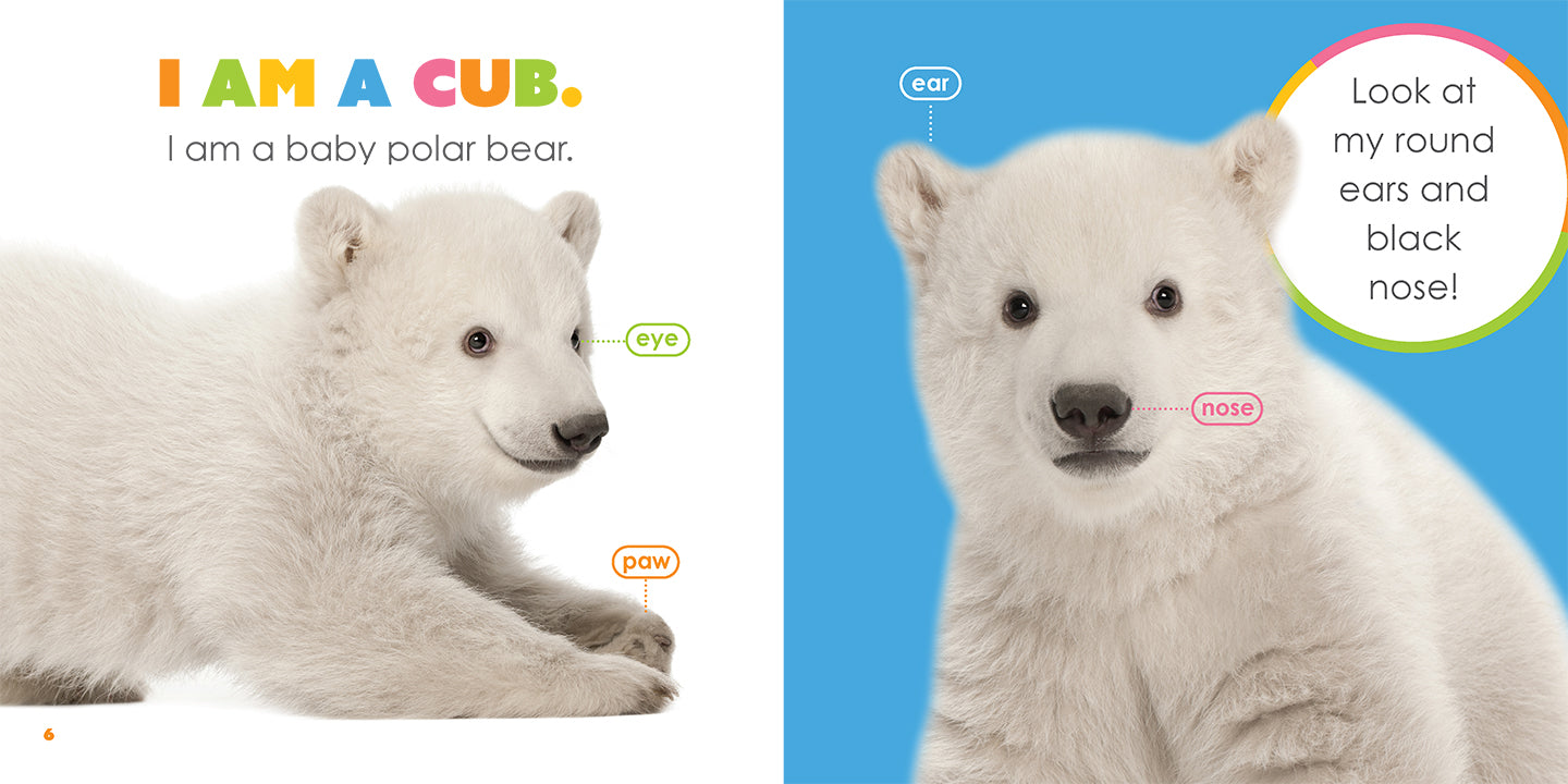 Adorable Baby Polar Bear Plush Toy - Soft & Cuddly Stuffed Animal for Kids & Collectors | Perfect for Gifts, Nursery Decor, and Cuddling