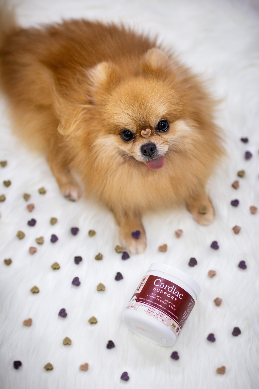 Fera Pet Organics Senior Dog Supplement Bundle - Organic Joint Support & Immune Boost for Aging Dogs | Vet-Formulated Dog Vitamins for Mobility & Wellness | Ideal for Senior Dogs with Arthritis or Low Energy