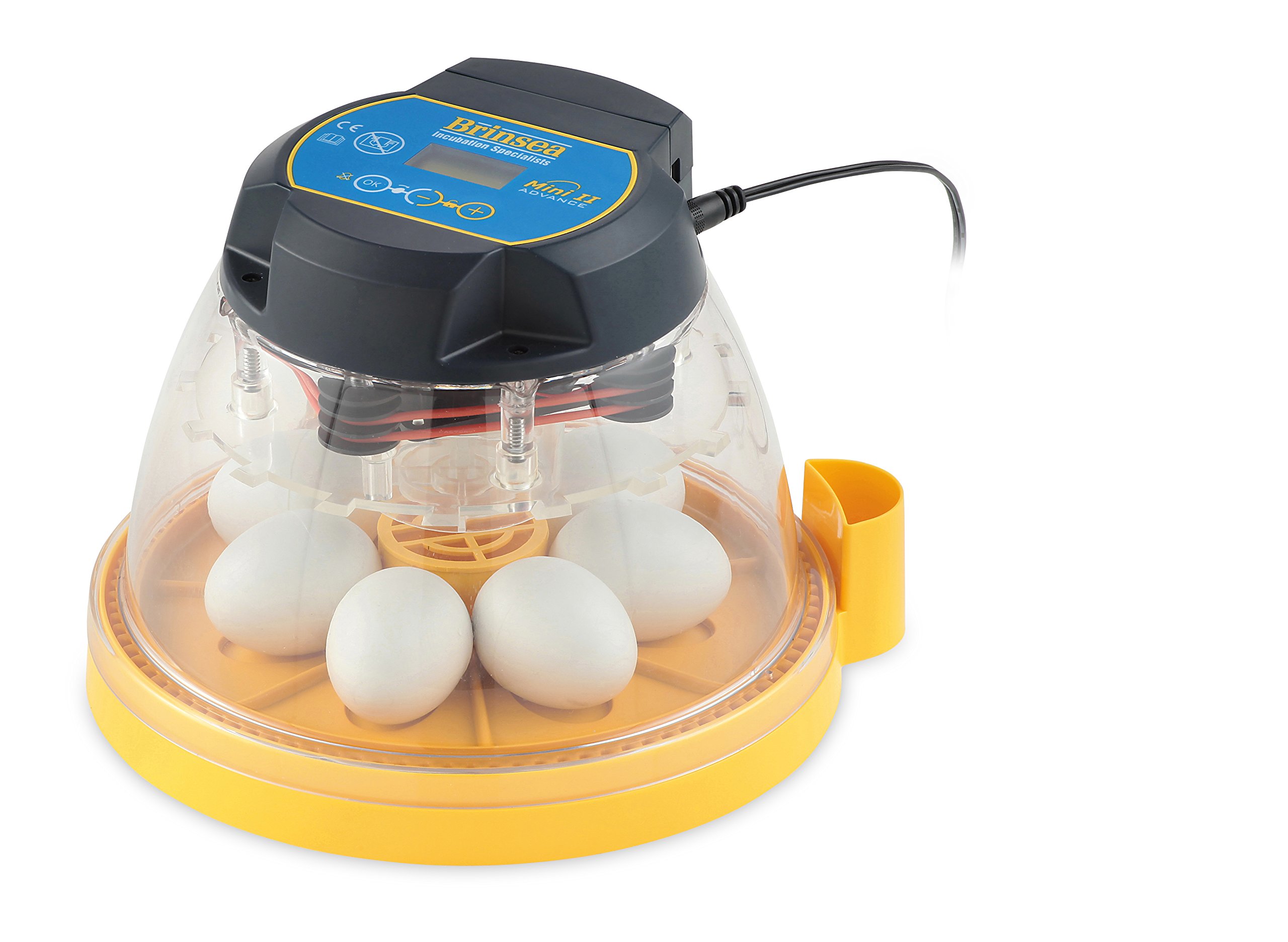 Brinsea Mini II Advance Automatic Egg Incubator - Digital Temperature Control & Auto Turning for 7 Chicken, Duck, Quail Eggs - Perfect for Hobbyists, Teachers, Students - Ideal for Home, Classroom, Farm, and Educational Projects
