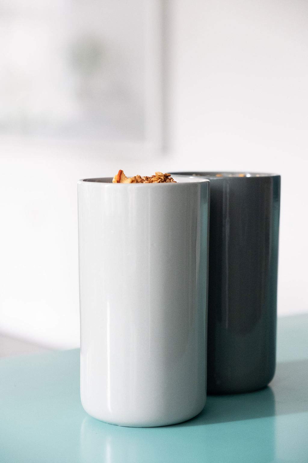 Waggo Simple Solid Ceramic Cookie Jar - Airtight Pet Treat Storage Container with Lid for Modern Kitchens | Perfect for Storing Cookies, Biscuits, Dog Treats & Kitchen Pantry Organization (Dolphin Design)