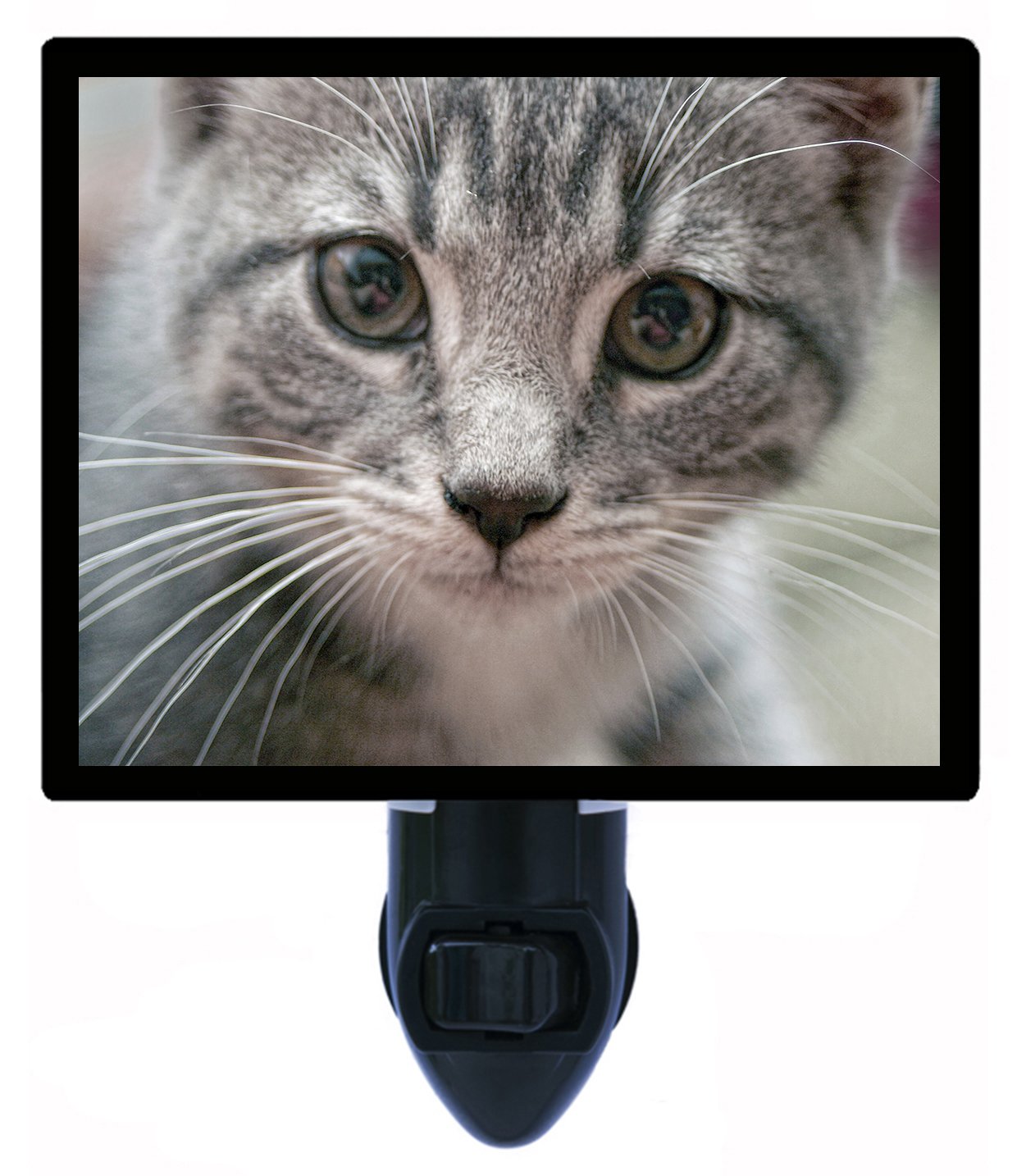 Mister Whiskers Cat Night Light - LED Night Light for Cats | Bedroom, Nursery & Hallway Nightlight for Kids & Adults