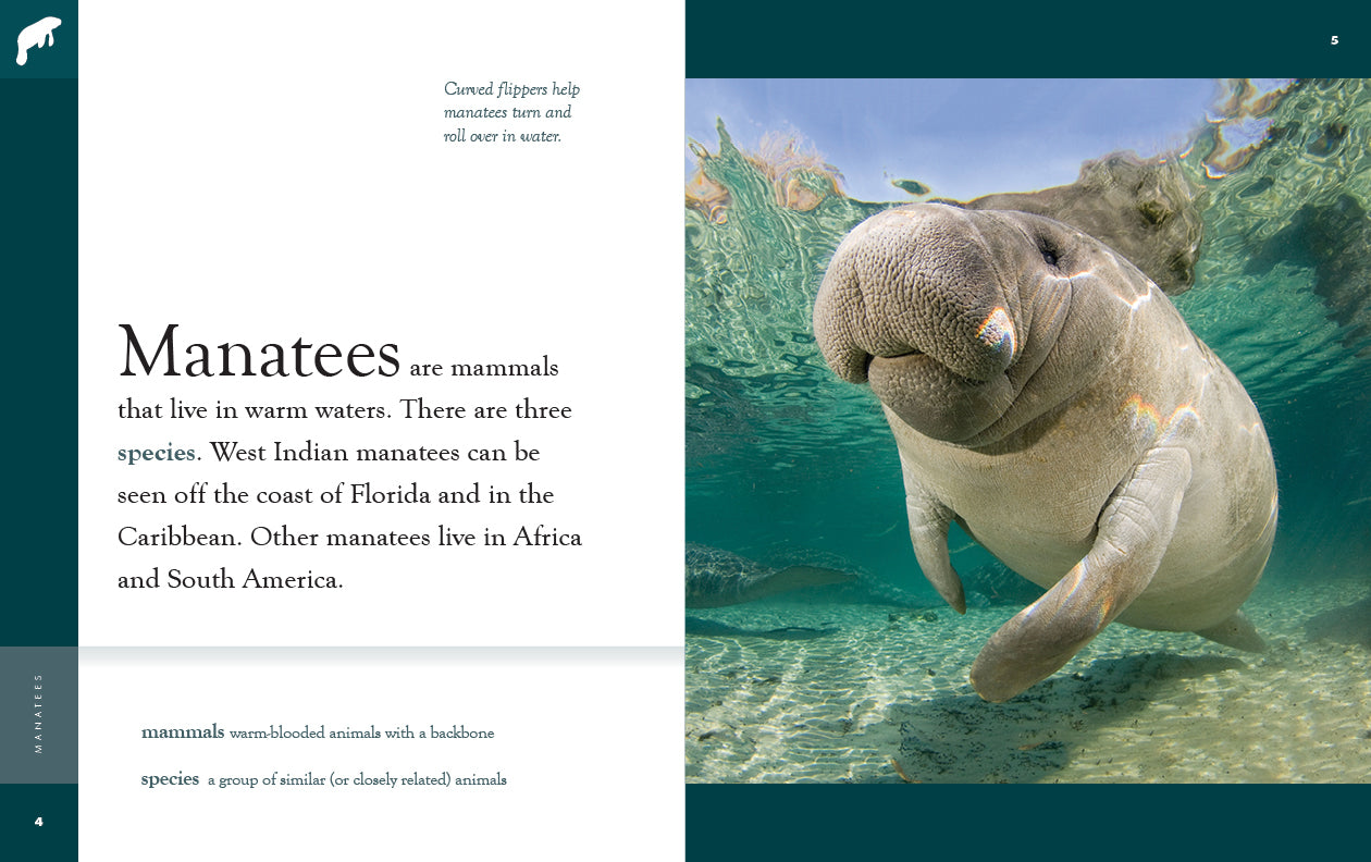 Manatees Book - 9781640265691 | Learn About Manatees, Marine Life & Conservation | Perfect for Kids, Students & Nature Lovers
