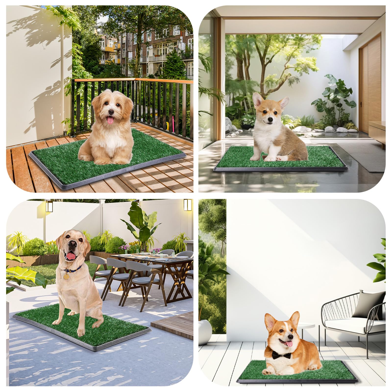 LOOBANI Large Dog Grass Pad with Tray - Indoor Puppy Potty Training System for Apartments & Patios - Includes 2 Replacement Grass Pee Pads - Perfect for Small Dogs, Housebreaking & Balcony Use