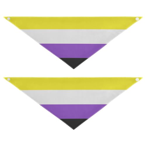 LGBTQ + Non-Binary