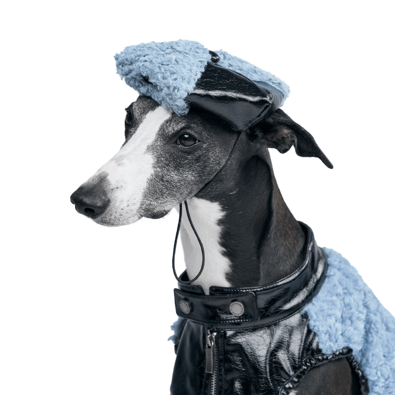 Stylish Oceania Dog Beret - Fashionable Pet Hat for Small & Medium Dogs - Perfect for Parties, Photos & Outdoor Adventures