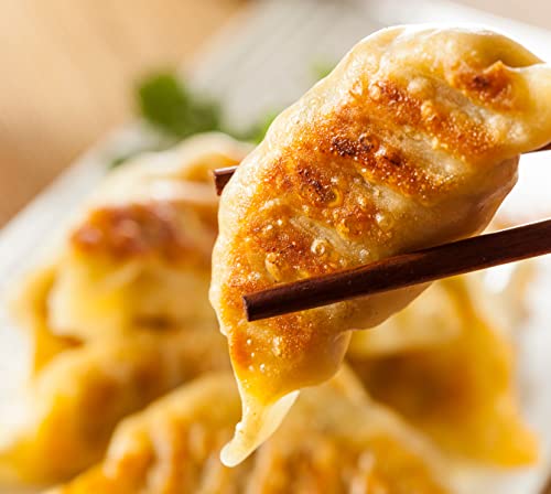 Mopo Tofu Veggie Gyoza