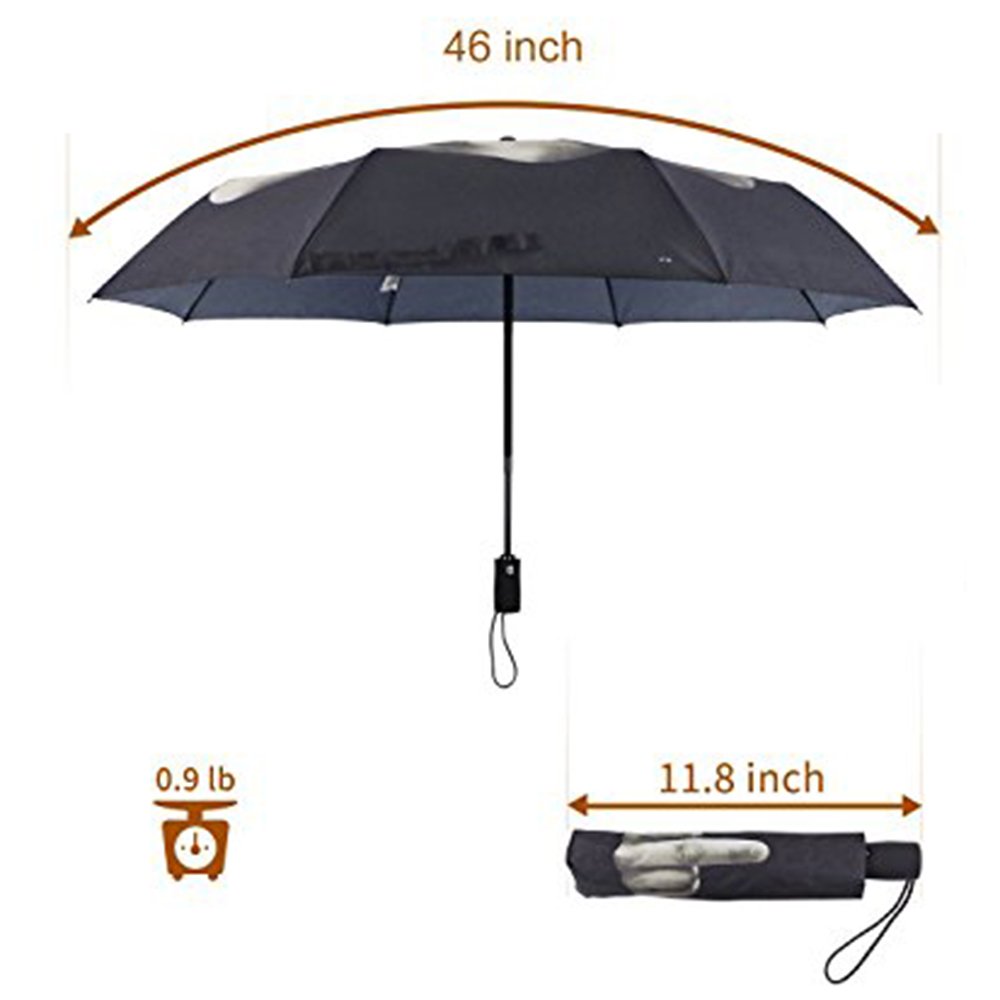 Automatic Folding Windproof Umbrella with 8 Metal Ribs - UV Protection & Strong Frame for Rain & Sun - Compact & Portable for Commute, Travel & Outdoor Activities