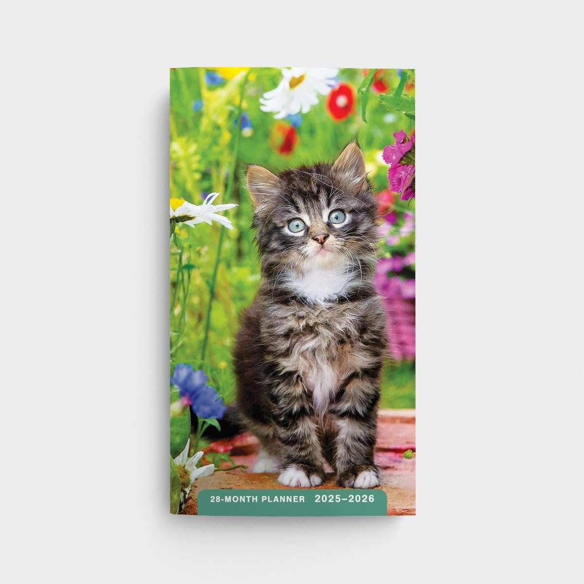 DaySpring Kitten 28-Month Pocket Planner 2025-2026 | Cute Cat Themed Monthly Organizer | Perfect for Students, Teachers & Office Use