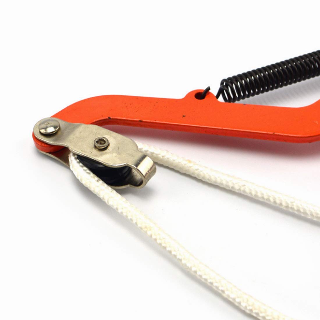**B-D Garden Shears – Heavy Duty Pruning Shears for Gardening, Fruit Picking, and Landscaping | Ergonomic Design for Less Effort | Perfect for Orchard, Home Garden, and DIY Projects (Color: As Shown)**