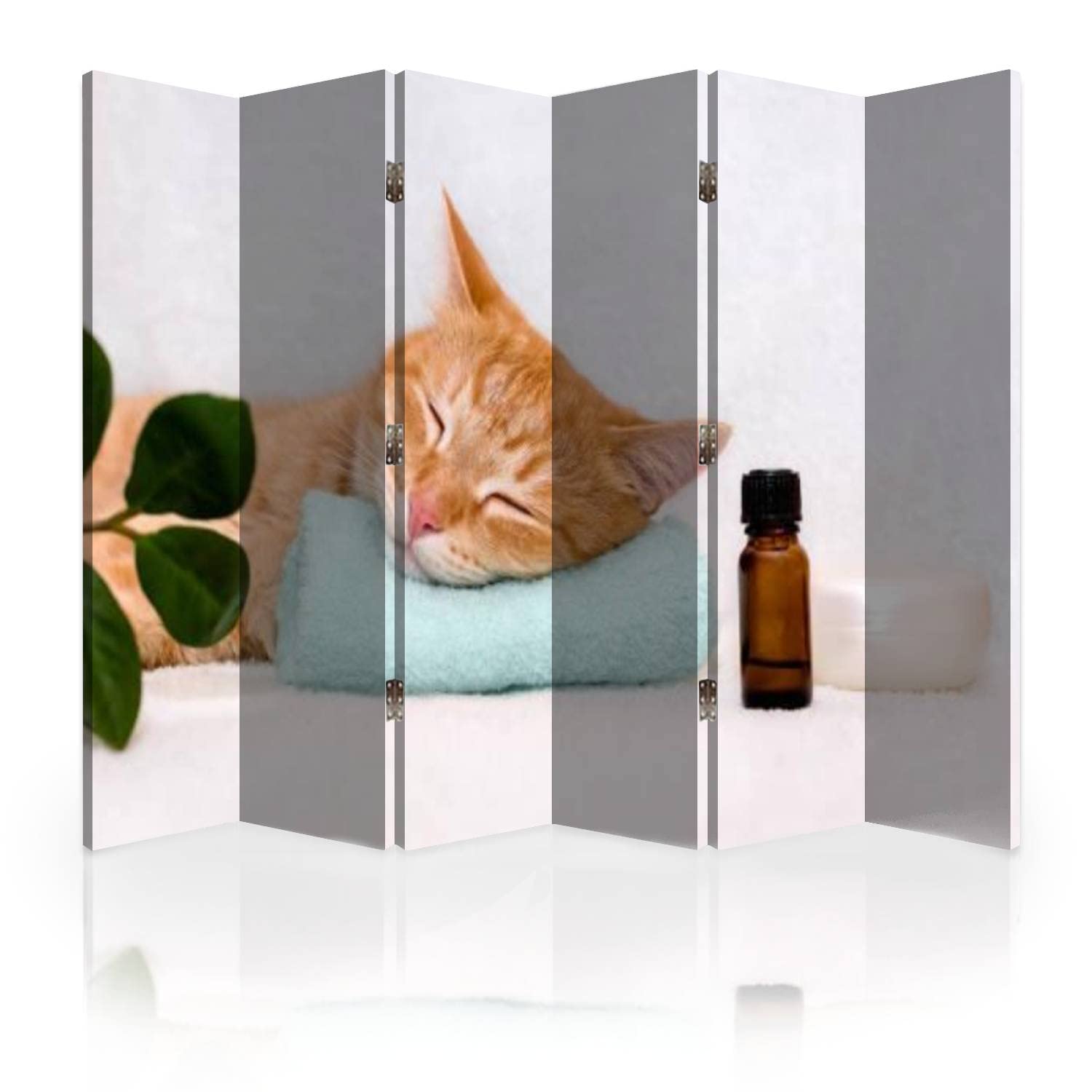 6-Panel Folding Room Divider Screen with Sleeping Cat Design - Turquoise Privacy Partition for Bedroom, Office & Massage Areas | Canvas Wall Separator for Home Decor