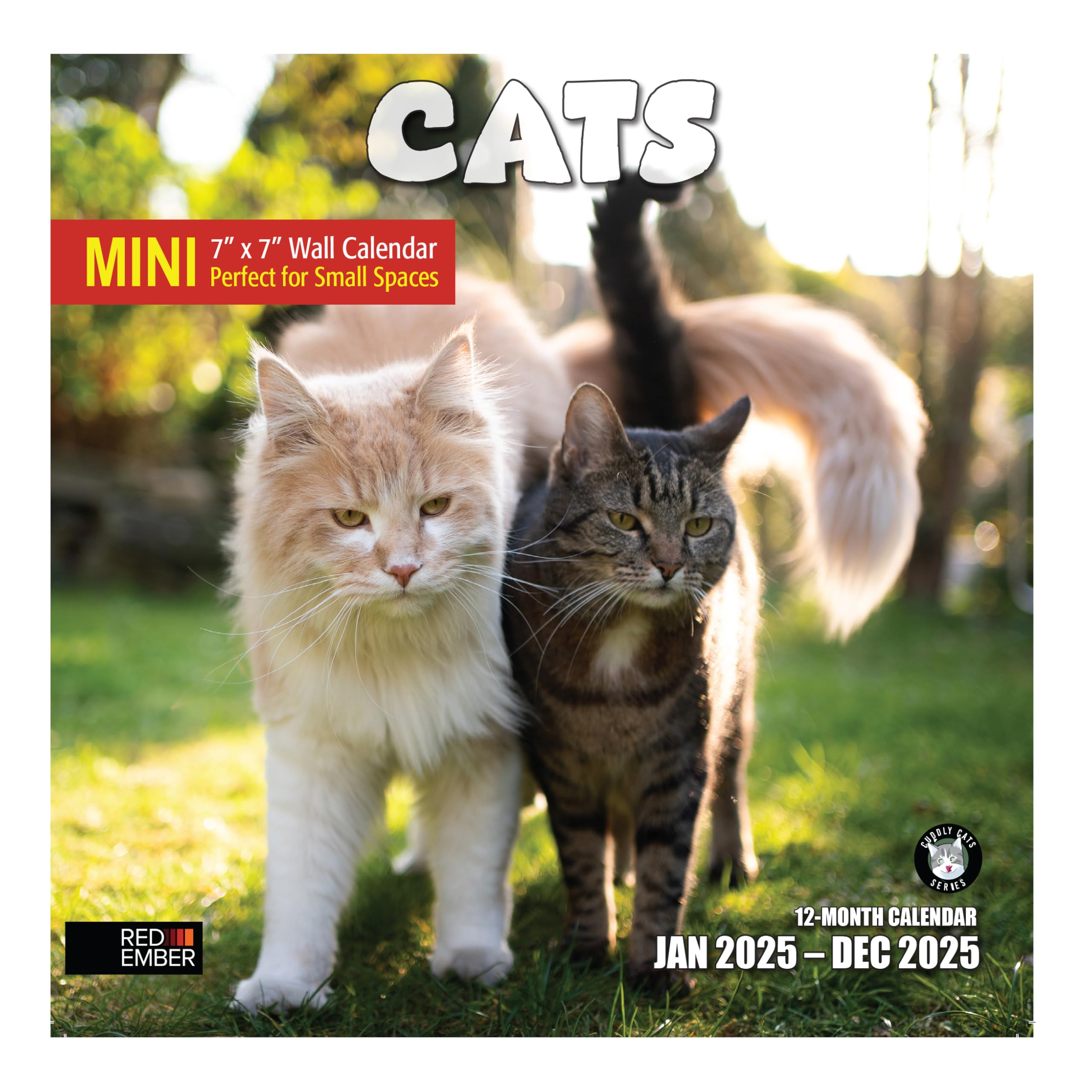 RED EMBER Cats Mini 2025 Wall Calendar - 12 Month Cute Cat Lovers Calendar (7