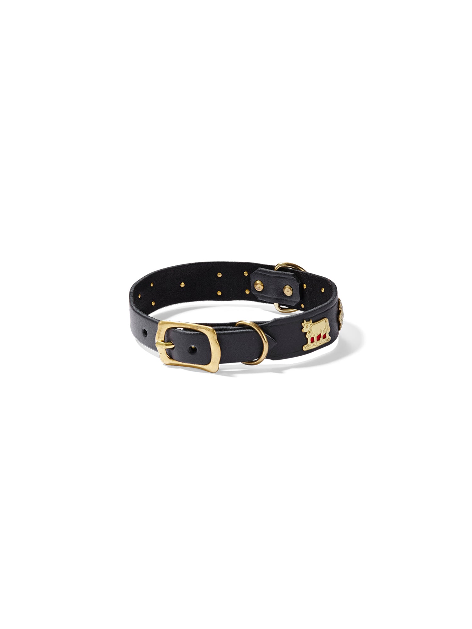 Small Traditional Dog Collar - Classic Nylon Pet Collar for Small Dogs - Perfect for Daily Walks, Training & ID Tags