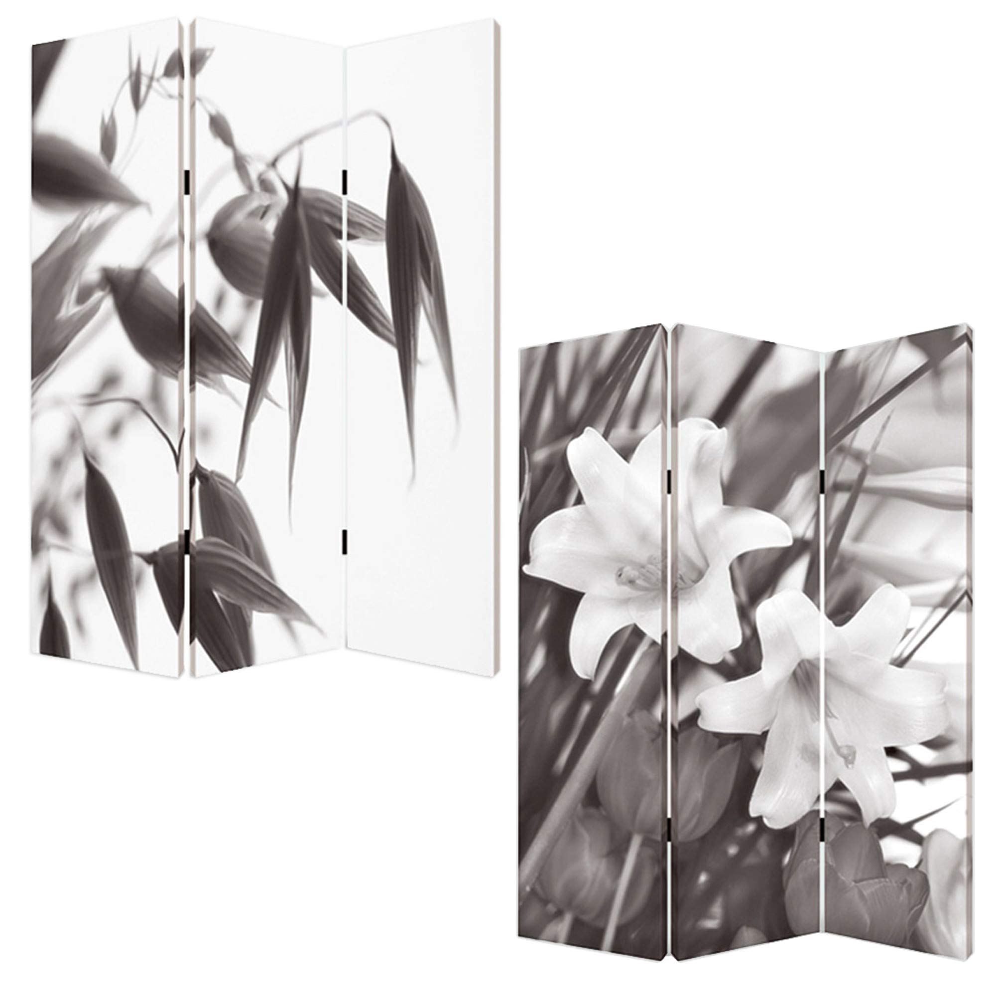 Screen Gems Lilly Folding Room Divider - 6 Panel Privacy Partition for Home, Office & Events - Decorative Freestanding Screen with Floral Design
