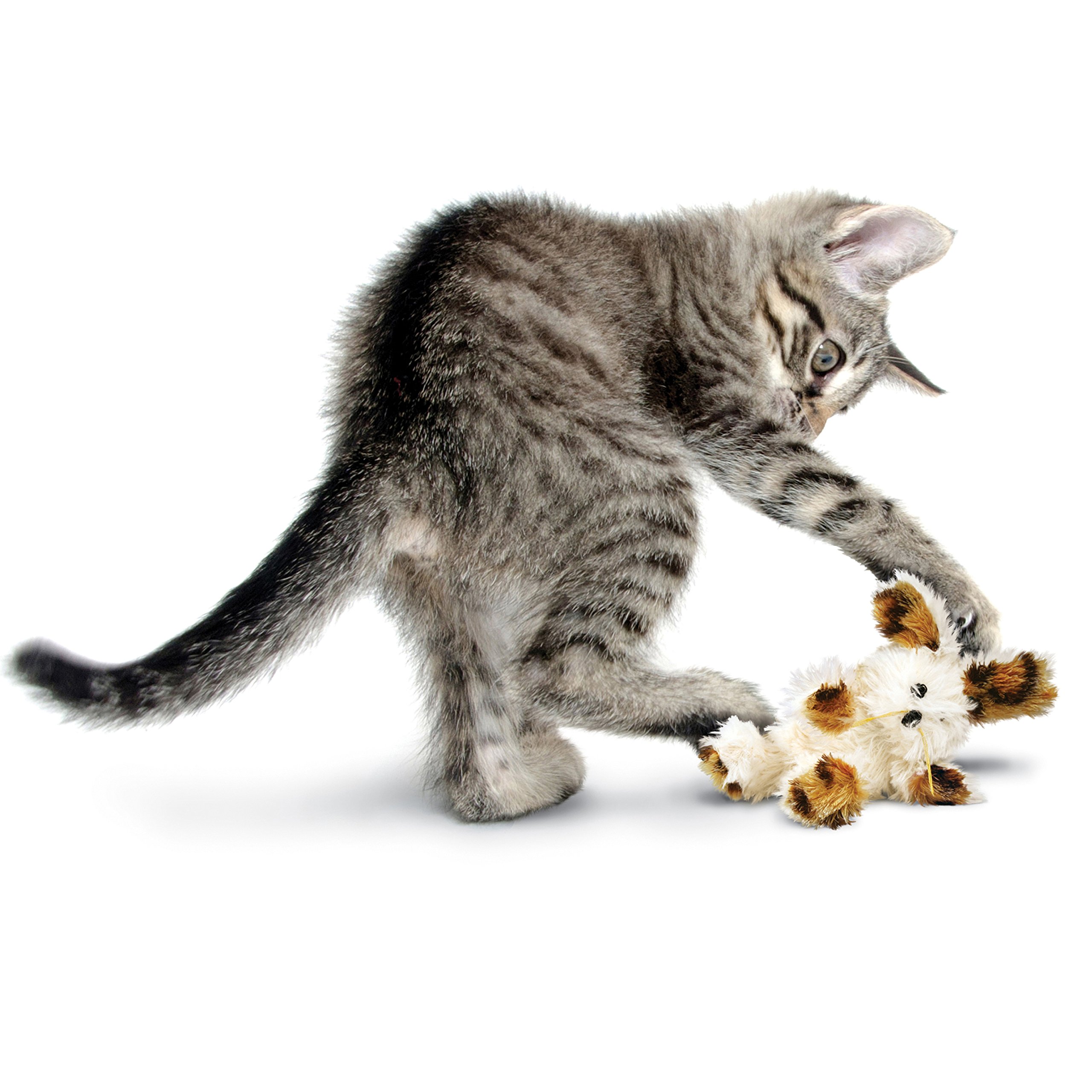 KONG Softies Patchwork Bear Cat Toy - Durable & Cute Interactive Pet Toy for Indoor Play, Training & Stress Relief (Assorted Designs)